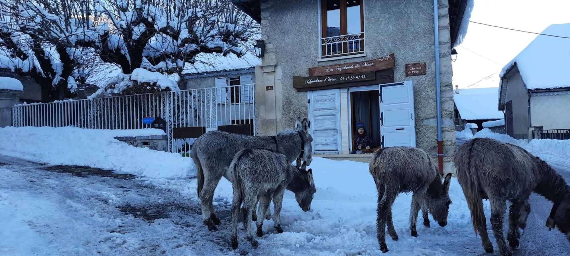 Les Vagabonds Du Mont Acomodação com café da manhã Chichilianne Exterior foto